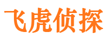 南谯市调查公司